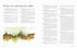 100 BOTANICAL COLORS: MAKE YOUR OWN ...FROM PLANTS - WARNOCK. CALEB